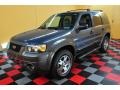 2005 Norsea Blue Metallic Ford Escape XLT V6 4WD  photo #3