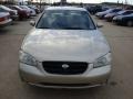 Sunlit Sand Metallic - Maxima GLE Photo No. 2