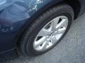 Shadow Blue - Passat 2.0T Sedan Photo No. 9