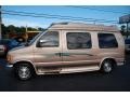Light Saddle Metallic - E Series Van E150 Passenger Conversion Photo No. 2
