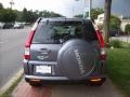 Pewter Pearl - CR-V Special Edition 4WD Photo No. 6