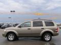 Light Khaki Metallic - Durango SLT Photo No. 6