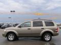 2006 Light Khaki Metallic Dodge Durango SLT  photo #6