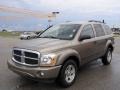 2006 Light Khaki Metallic Dodge Durango SLT  photo #7