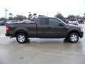 2006 Dark Stone Metallic Ford F150 STX SuperCab  photo #5