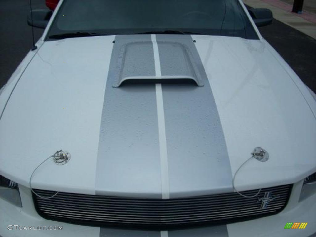 2007 Mustang Shelby GT Coupe - Performance White / Dark Charcoal photo #12