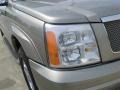 Silver Sand - Escalade AWD Photo No. 7