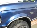 Color Sample of 1995 F150 Eddie Bauer Extended Cab 4x4