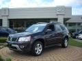 2006 Purple Haze Metallic Pontiac Torrent   photo #2