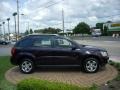 2006 Purple Haze Metallic Pontiac Torrent   photo #5