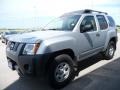 2007 Silver Lightning Metallic Nissan Xterra X 4x4  photo #7