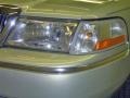 Gold Ash Metallic - Grand Marquis LS Photo No. 10
