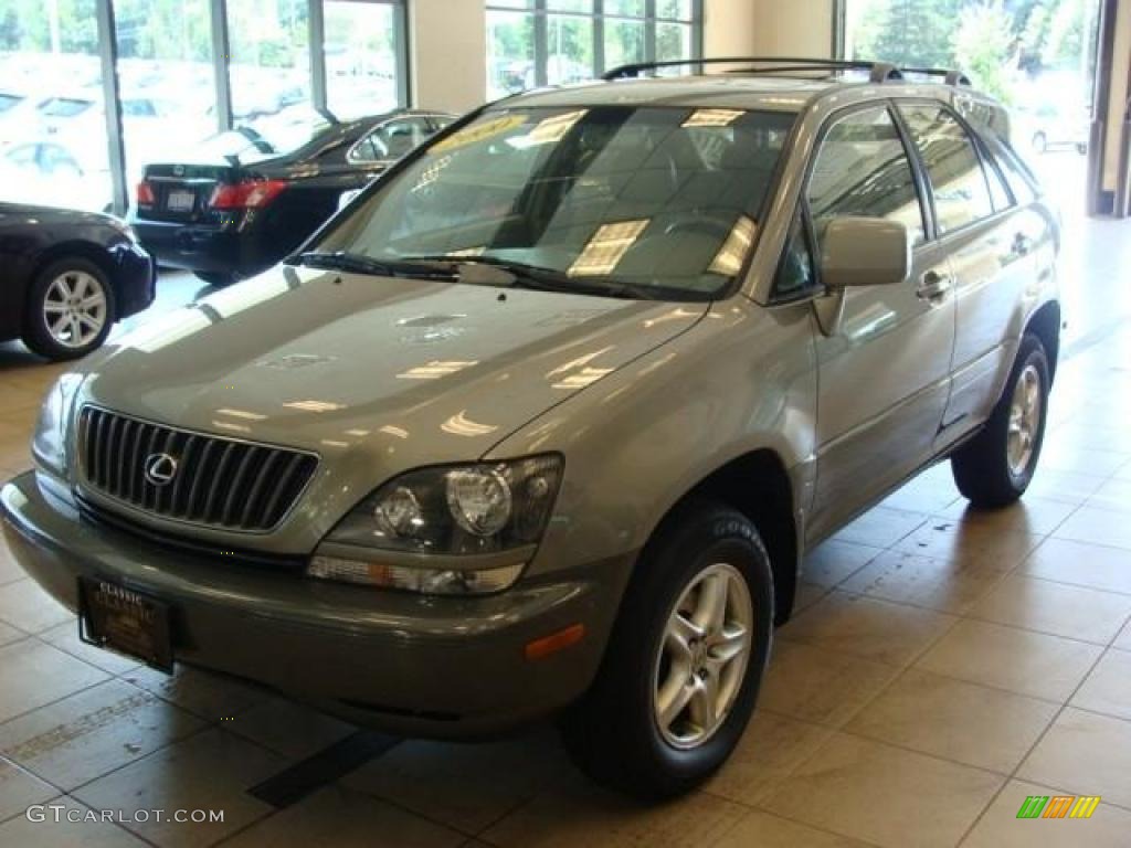 2000 RX 300 AWD - Mineral Green / Ivory photo #3