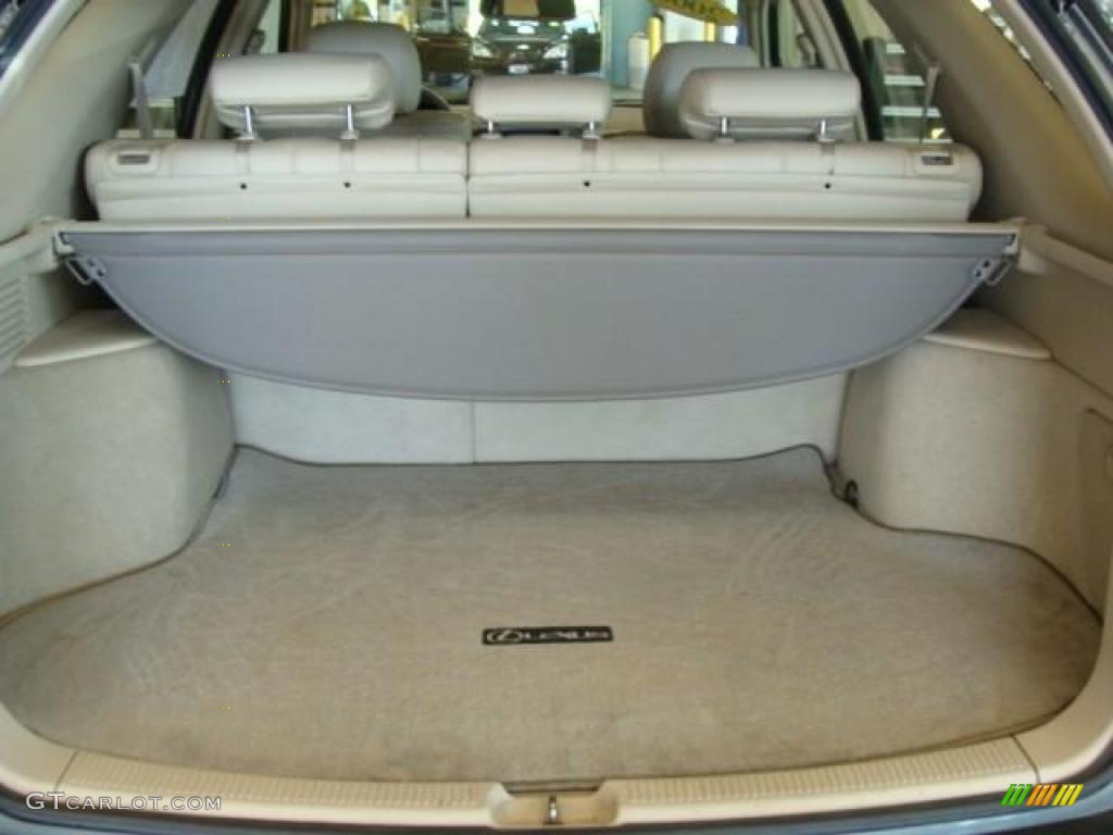 2000 RX 300 AWD - Mineral Green / Ivory photo #5