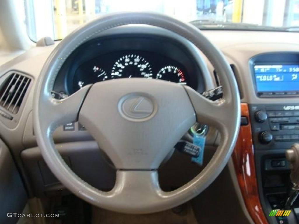 2000 RX 300 AWD - Mineral Green / Ivory photo #12