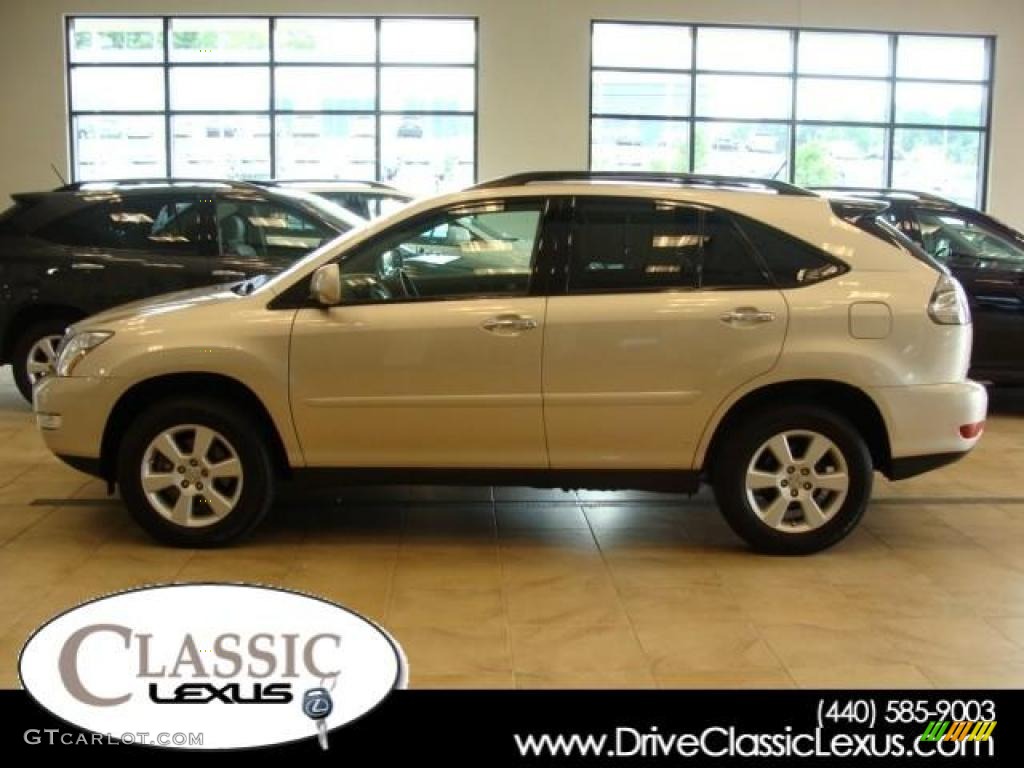 Savannah Metallic Lexus RX