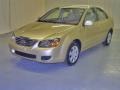 2009 Sand Beige Metallic Kia Spectra EX Sedan  photo #1