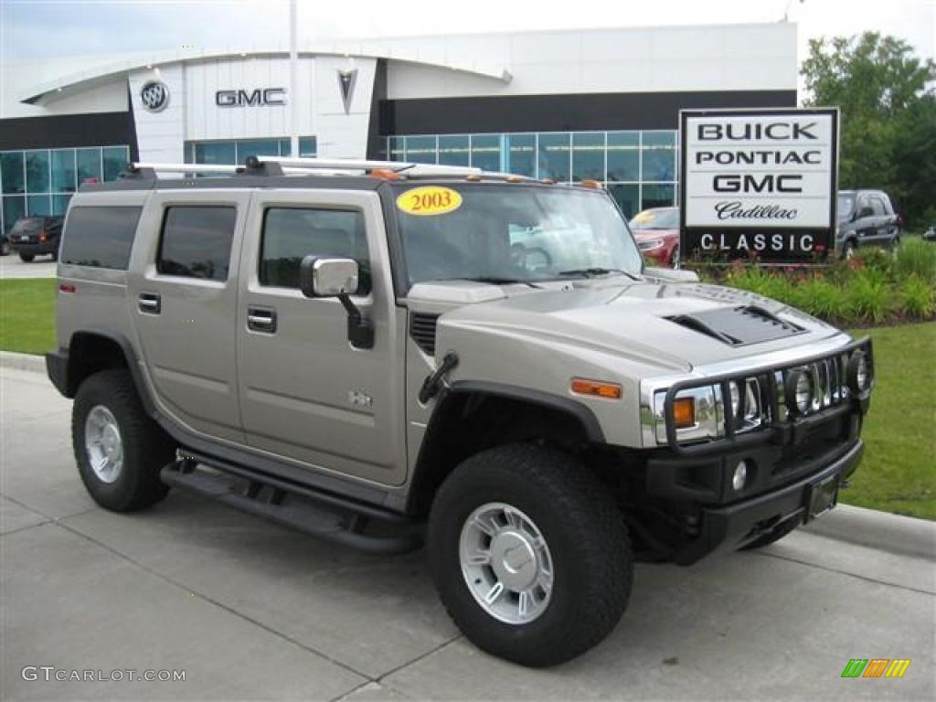 2003 H2 SUV - Pewter Metallic / Wheat photo #1