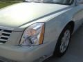 2006 Light Platinum Metallic Cadillac DTS   photo #6