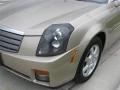 Sand Storm - CTS Sedan Photo No. 5