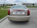 Sand Storm - CTS Sedan Photo No. 8