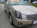 Sand Storm - CTS Sedan Photo No. 10