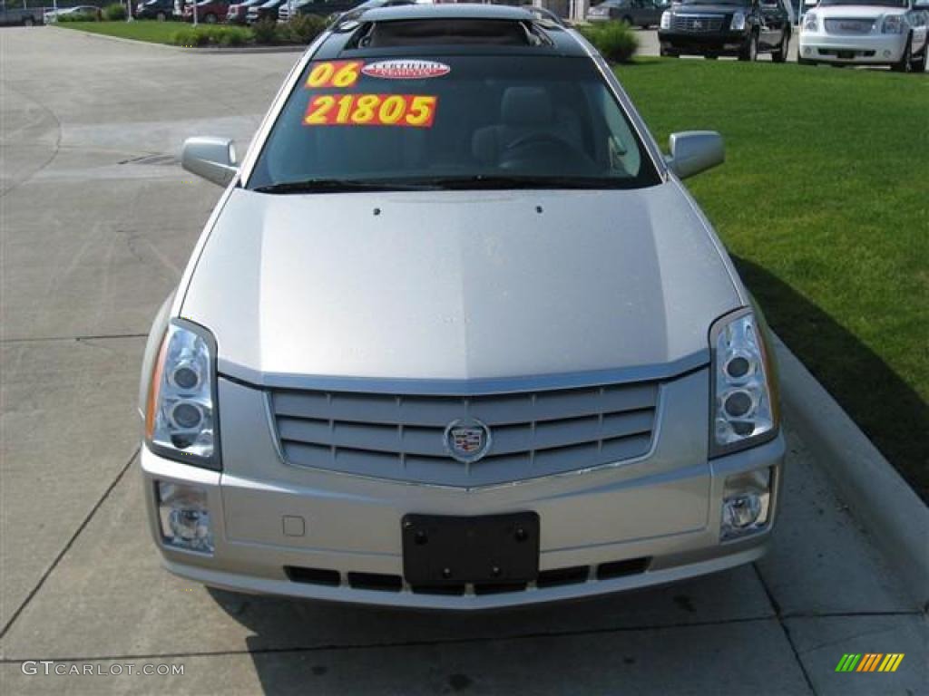 2006 SRX V6 - Light Platinum / Light Gray photo #3