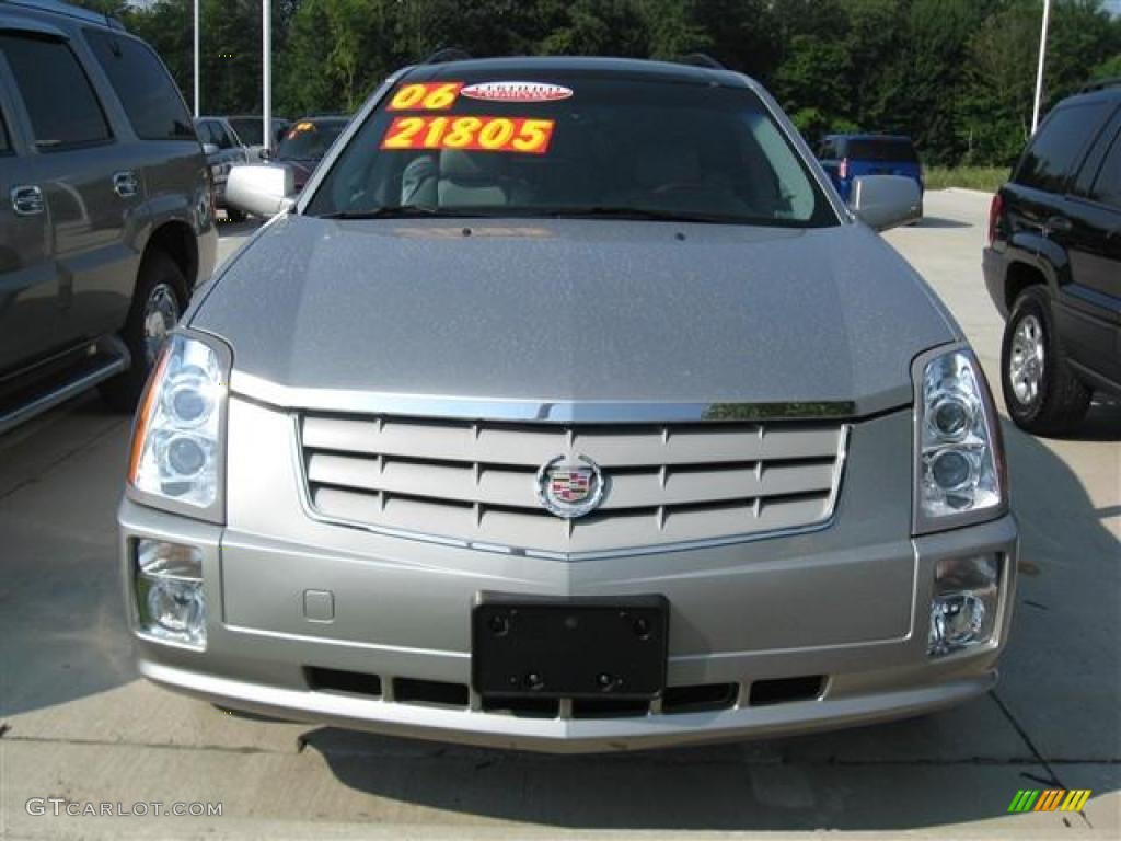 2006 SRX V6 - Light Platinum / Light Gray photo #7