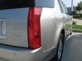 2006 Light Platinum Cadillac SRX V6  photo #10