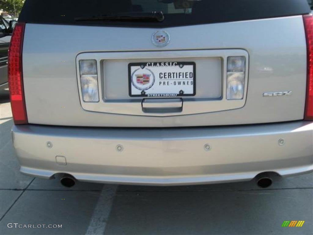 2006 SRX V6 - Light Platinum / Light Gray photo #11