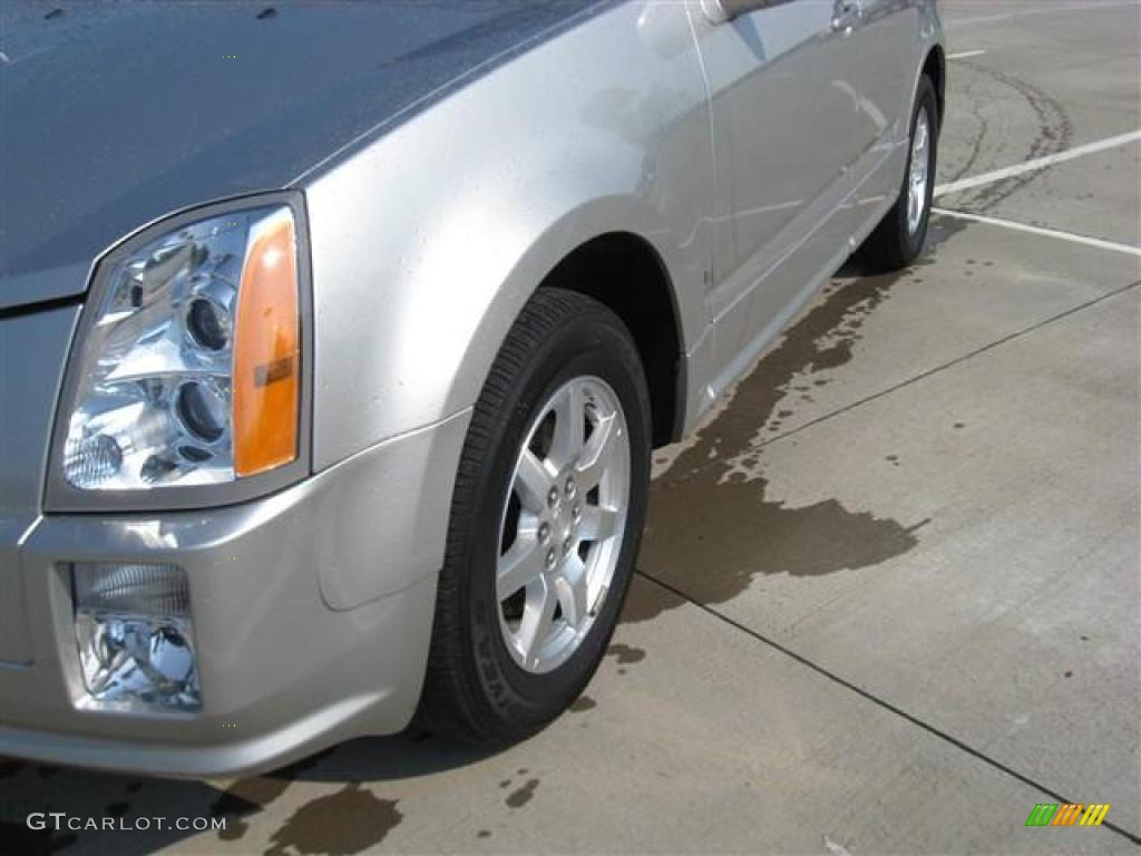2006 SRX V6 - Light Platinum / Light Gray photo #15