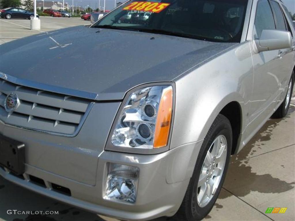 2006 SRX V6 - Light Platinum / Light Gray photo #16
