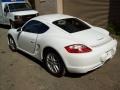 Carrara White - Cayman  Photo No. 3