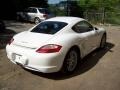 Carrara White - Cayman  Photo No. 5