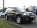 Charcoal Beige Metallic - Mariner Luxury 4WD Photo No. 3
