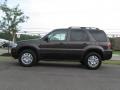 Charcoal Beige Metallic - Mariner Luxury 4WD Photo No. 6