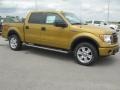 Amber Gold Metallic 2009 Ford F150 Gallery