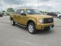 2009 Amber Gold Metallic Ford F150 FX4 SuperCrew 4x4  photo #2
