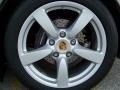 Arctic Silver Metallic - Cayman  Photo No. 3