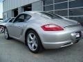 Arctic Silver Metallic - Cayman  Photo No. 8