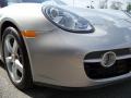 Arctic Silver Metallic - Cayman  Photo No. 10