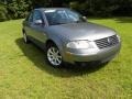 Stonehenge Grey Metallic - Passat GLS Sedan Photo No. 1