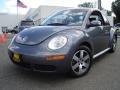 Platinum Grey - New Beetle 2.5 Coupe Photo No. 1