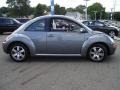 Platinum Grey - New Beetle 2.5 Coupe Photo No. 6