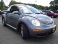Platinum Grey - New Beetle 2.5 Coupe Photo No. 7