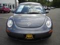 Platinum Grey - New Beetle 2.5 Coupe Photo No. 8