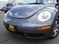 Platinum Grey - New Beetle 2.5 Coupe Photo No. 9