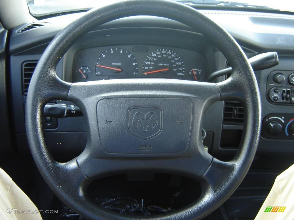 2004 Dakota SXT Club Cab - Bright Silver Metallic / Dark Slate Gray photo #14