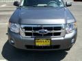 2010 Sterling Grey Metallic Ford Escape XLT  photo #1