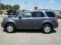 2010 Sterling Grey Metallic Ford Escape XLT  photo #2